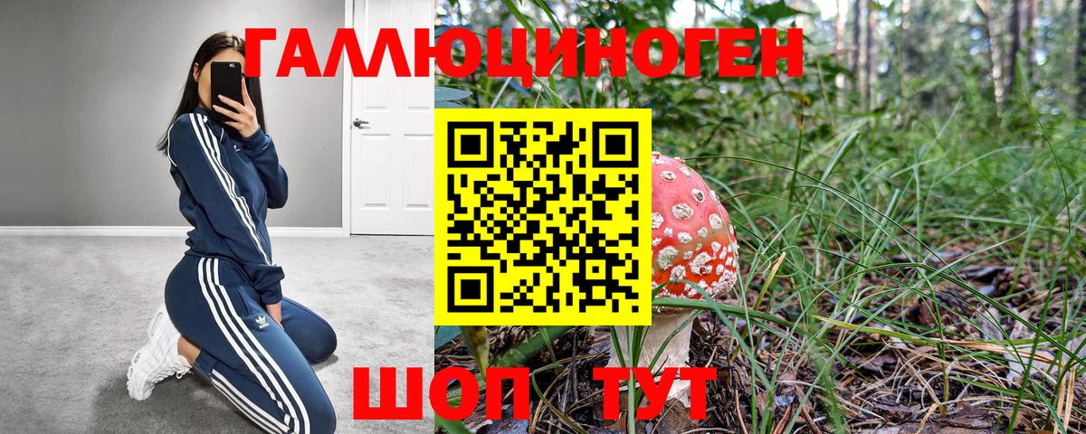 Дзержинский  Псилоцибиновые грибы Cubensis  как найти   Вход с VPN  Псилоцибиновые грибы MAGIC MUSHROOMS 