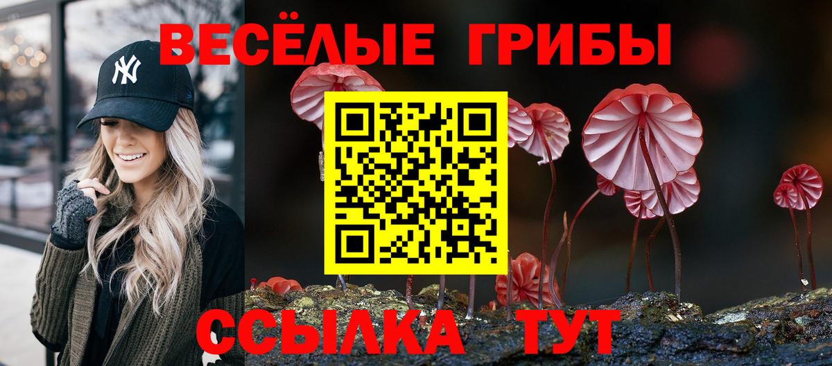 Псилоцибиновые грибы MAGIC MUSHROOMS Дзержинский